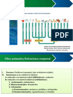 CLASE 1. Patron Corporal y Filos