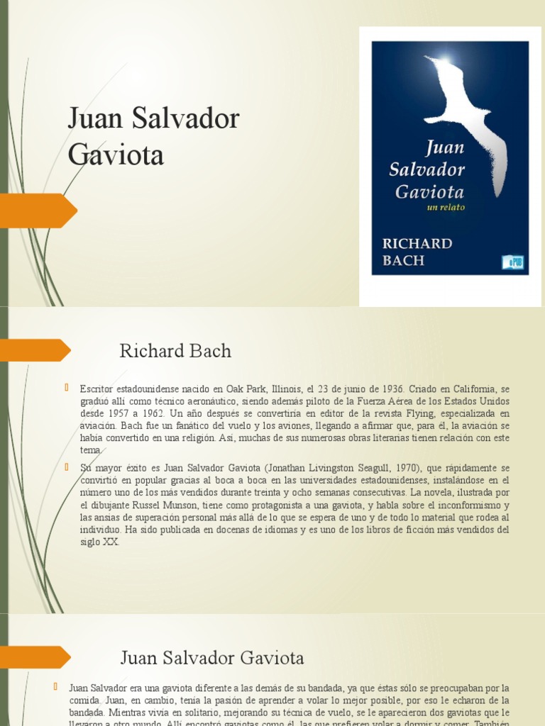 resumen de juan salvador gaviota capítulo 2