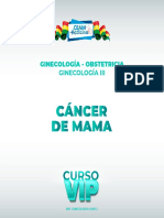 Cancer de Mama Resumen