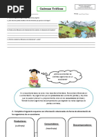 CIENCIAS Cadenas Troficas 4° Año Básico
