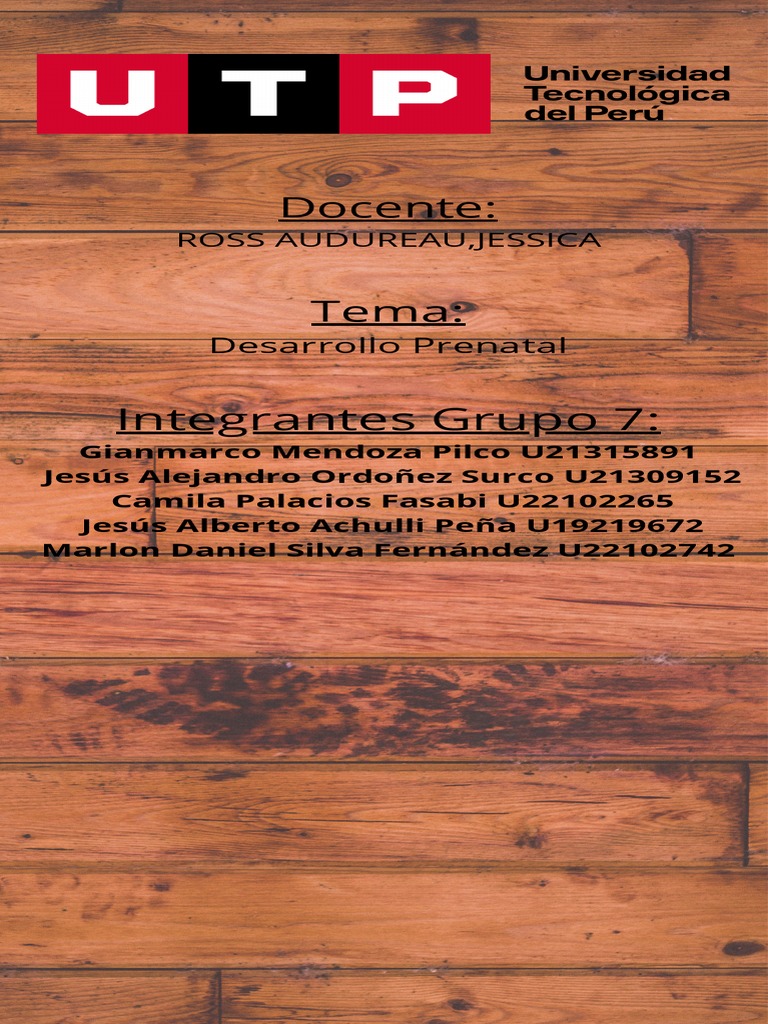 Infografía Desarrollo Prenatal Grupo 7 | PDF | Desarrollo prenatal ...