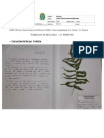 Trabalho Biologia 2BIM Marcus Vinicius Nogueira de Oliveira