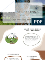 Ciclo Del Carbono - Eq4