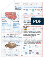 Hücre Organelleri - ER Golgi Lizozom Peroksizom Biosem