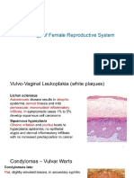 Pathologies of The Female Reproductive System