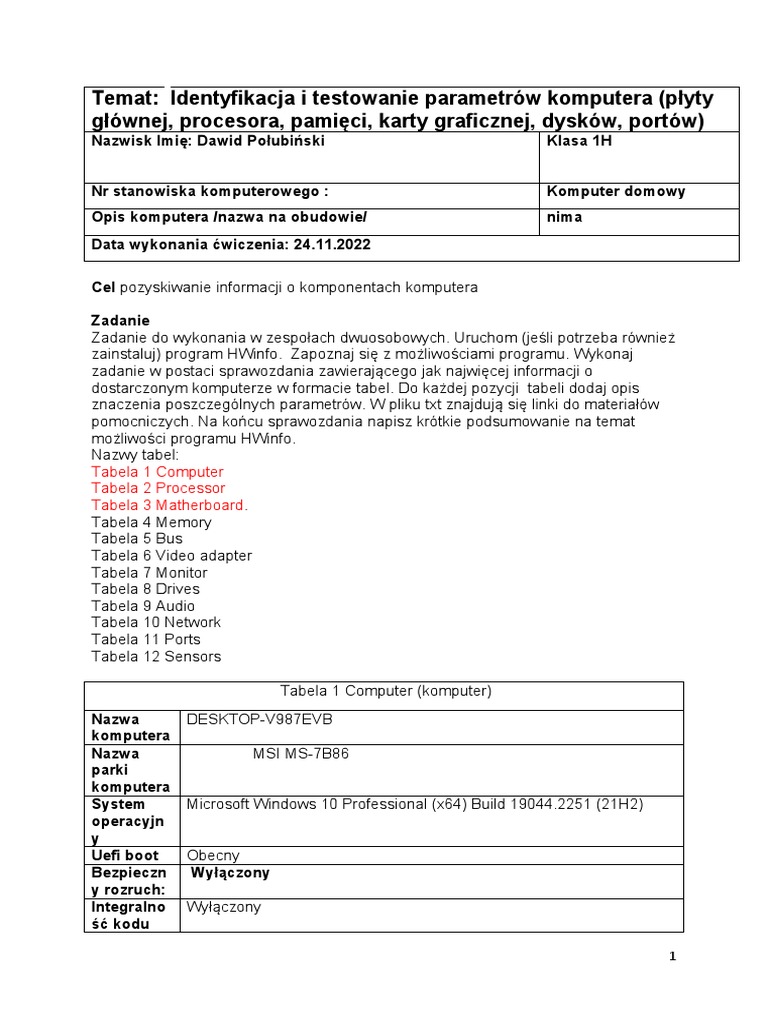 HWinfo Sprawozdanie Zrobione PDF