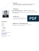 Plantilla Curriculum Vitae 15