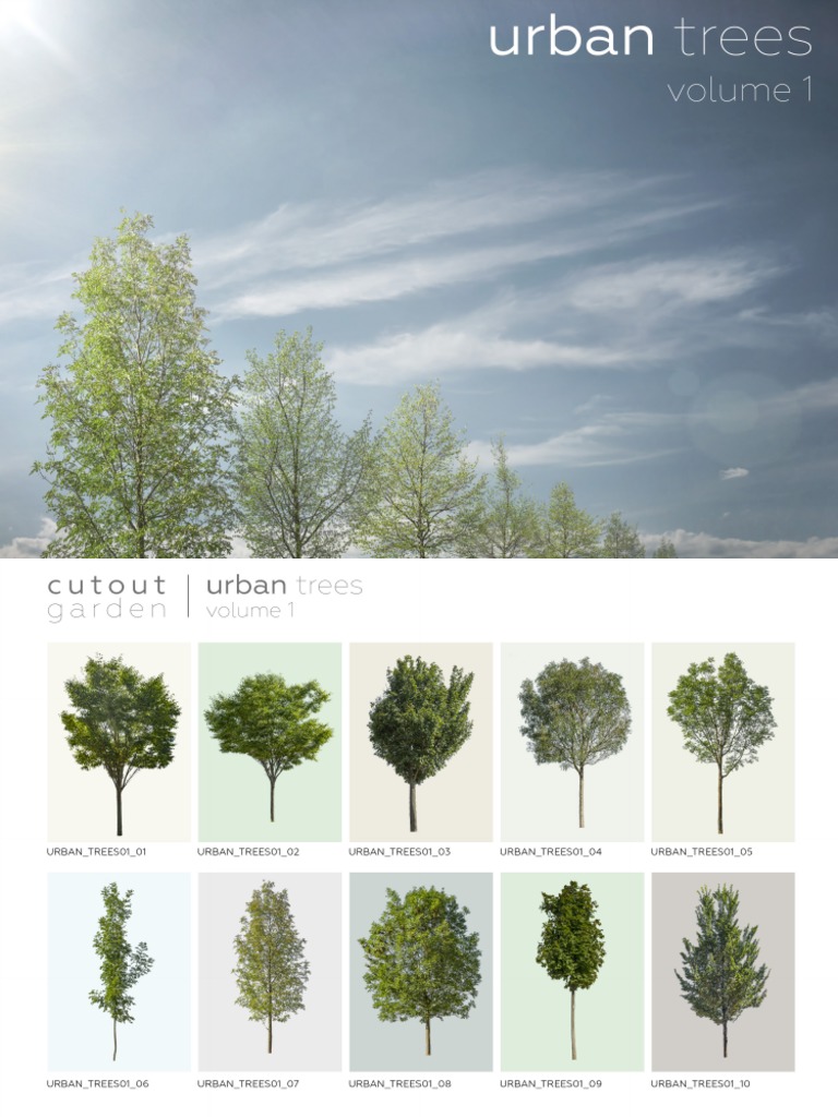 Urban Tree 01 Catalog | PDF