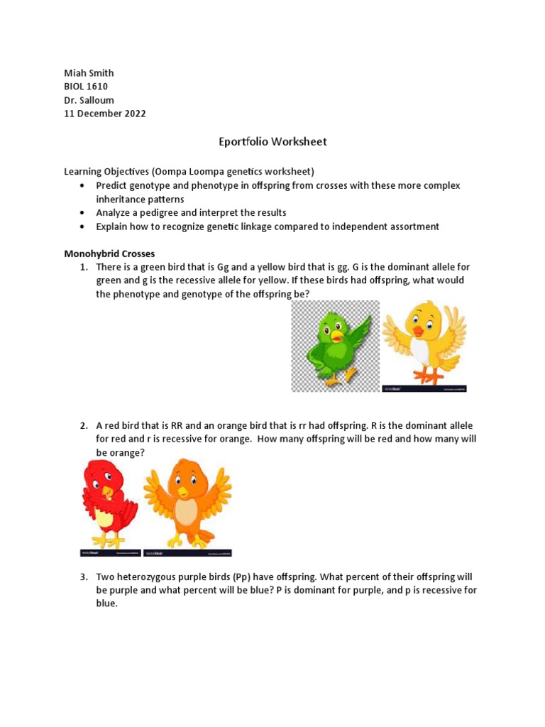 Eportfolio Worksheet | PDF | Science & Mathematics