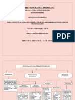 Mapa Concepytual de Las Enfermedades