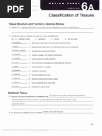 Download ap_lab_ex_06a by marycox1989 SN61166476 doc pdf