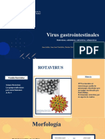 Virus Gastrointestinales