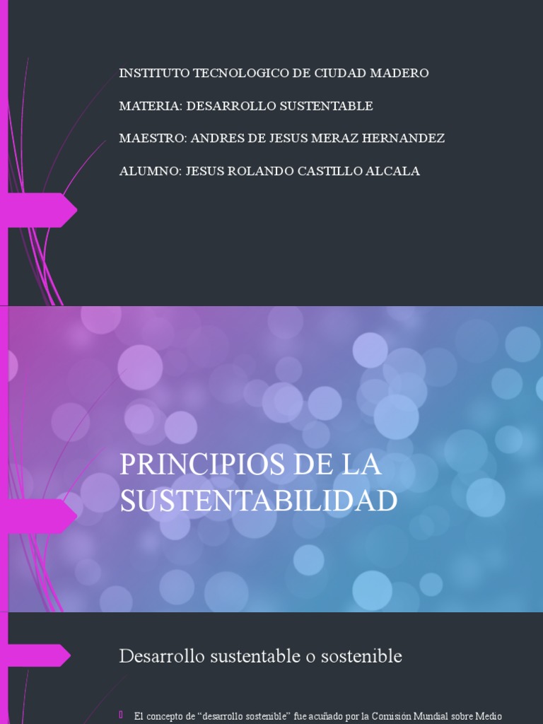 Principios de la Sustentabilidad | PDF | Sustentabilidad | Desarrollo ...