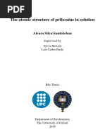 Prilocaine Thesis 2