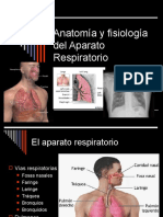 Ap. Respiratorio 1