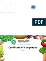 Tita Susan - Certificate