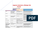 Cuadros e Imágenes Biología y Anatomia 2do Parcial