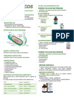 Principais tipos de antibióticos e suas ações