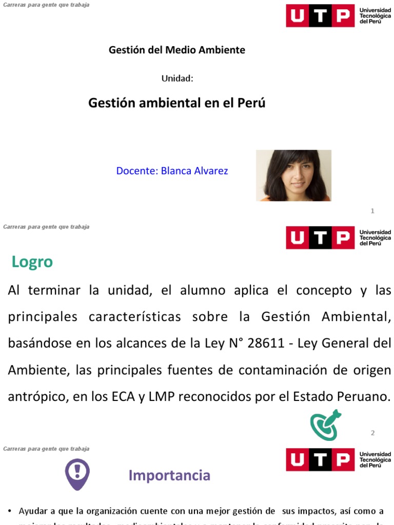 Gestión Ambiental en el Perú | PDF | Entorno natural | Agua