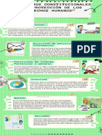 Infografia Mecanismos Constitucionales para La Proteccion de Los Derehos Humanos