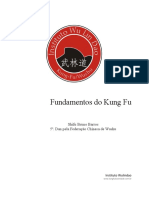 Fundamentos Do Kung Fu