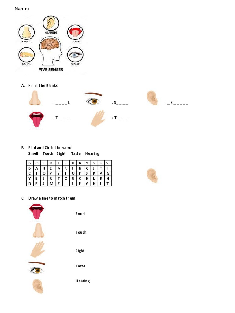five-sense-exercise-pdf