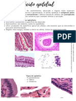 Tecido Epitelial - Resumo Prática