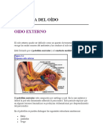 Anatomia Del Oído