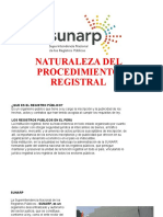 Naturaleza Del Procedimiento Registral