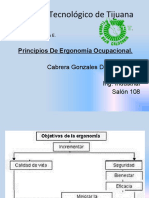 Principios de Ergonomia