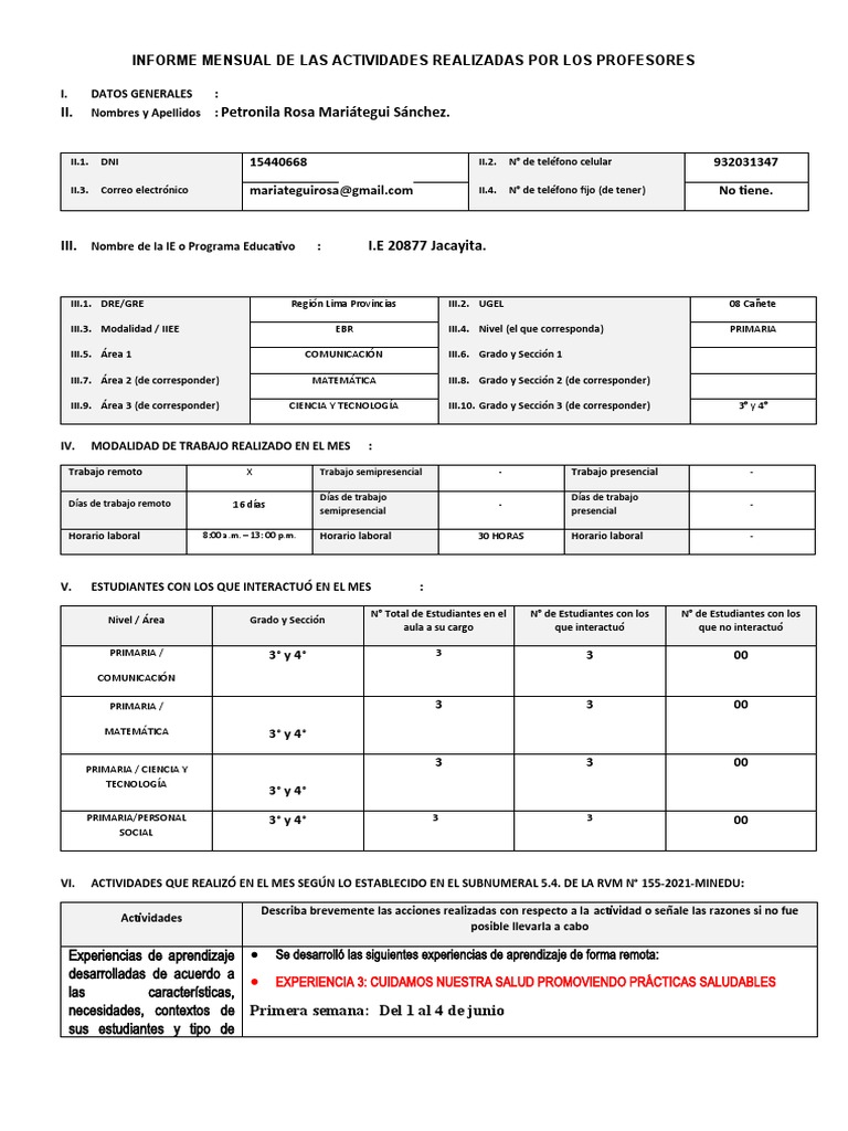 Informe Mensual Junio PDF