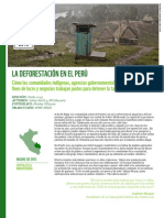 La_deforestacion_en_el_peru