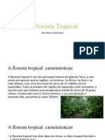 Floresta Tropical: Características e Espécies