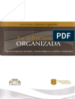 Delincuencia Organizada - Luis Felipe Guerrero