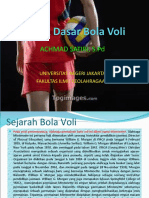 BOLA Voli