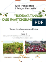 Menanam Cabe Dikebun Sekolah