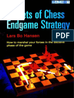 14 - Hansen Lars Bo - Secret of Chess Endgames Strategy, 2006, Gambit, 226p