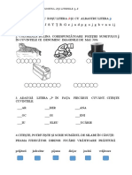 Fisa de Consolidare