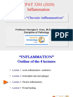 CPAT3201 2020 Inflammation Lecture 3 NOTES