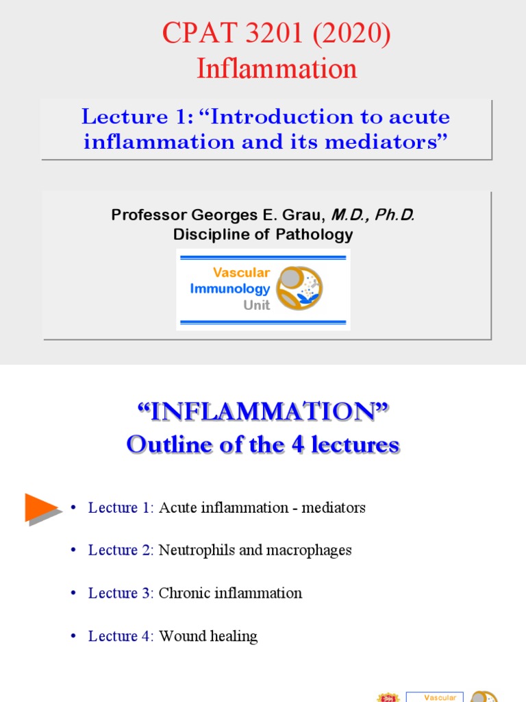 CPAT3201 2020 Inflammation Lecture 1 NOTES | PDF | Inflammation ...