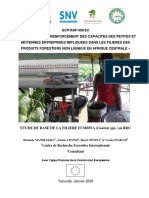ETUDE DE BASE DE LA FILIERE FUMBWA (Gnetum spp.) en RDC