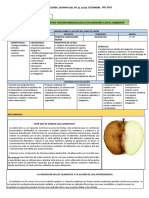 1° y 2° de CT Experiencia N°6 Actividad N°2