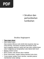 Download Struktur Dan Fungsi Tumbuhan by Yukino Niechan II SN61177310 doc pdf