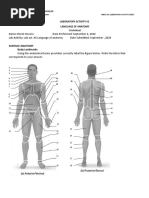 Lab Manual Pages 10-13