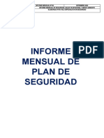 Informe Mensual de Plan de Seguridad