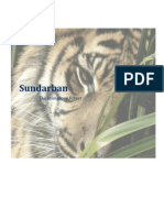 SUNDARBAN