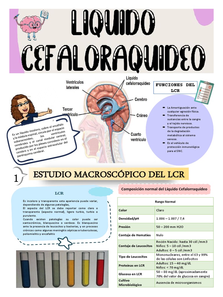 Composición y características del LCR | PDF | Leucocito | Sangre