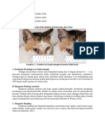 A6 - Idiopatik Dermatitis Pada Kucing