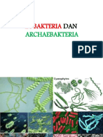 Eubacteria dan Archaebacteria