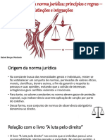 Resumo Teoria Da Norma Jurídica - Rafael Borges Machado